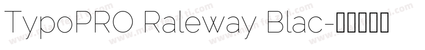 TypoPRO Raleway Blac字体转换